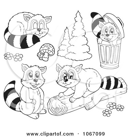 Clipart Outlined Mischievous Raccoons - Royalty Free Vector Illustration by visekart