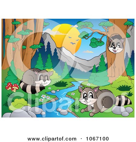 Clipart Raccoons Playing By A Stream 1 - Royalty Free Vector Illustration by visekart