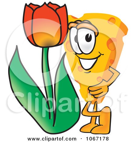 Clipart Cheese Mascot With A Tulip - Royalty Free Vector Illustration by Mascot Junction