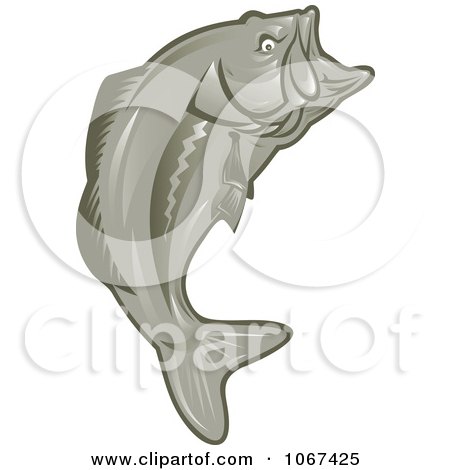 Clipart Leaping Largemouth Bass - Royalty Free Vector Illustration by patrimonio
