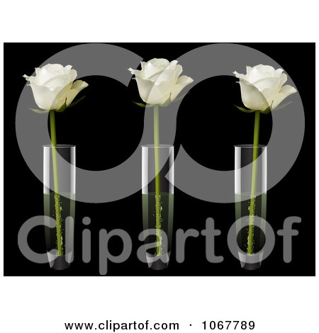 Clipart Three Ivory Roses In Three Vases - Royalty Free Vector Illustration by elaineitalia