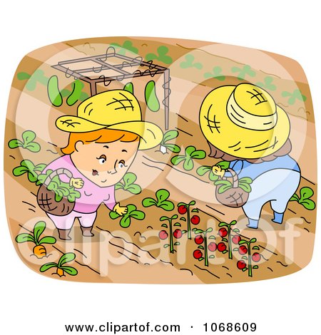 Clipart Farmers Picking Food In A Garden - Royalty Free Vector Illustration by BNP Design Studio