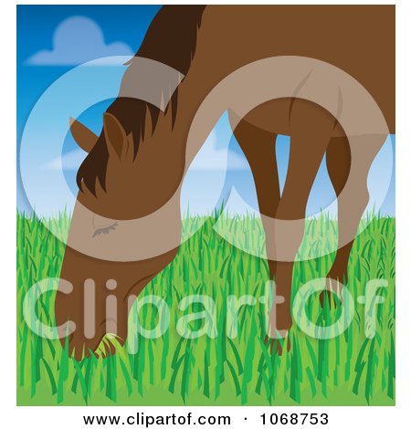 Clipart Horse Grazing In A Field - Royalty Free Vector Illustration by Rosie Piter