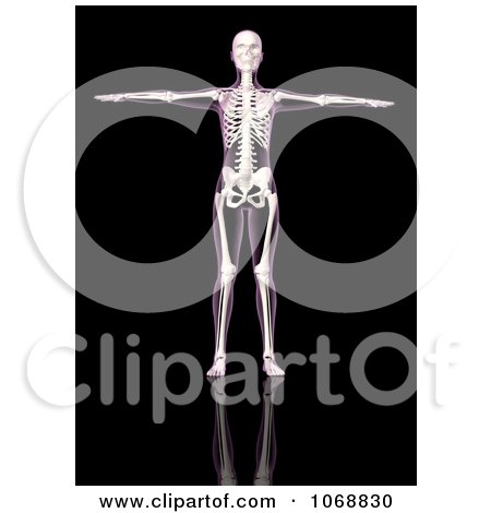 Clipart 3d Female Skeleton Holding Her Arms Out - Royalty Free CGI Illustration by KJ Pargeter