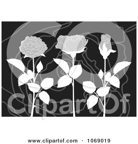 Clipart Grayscale Roses On A Swirl Background - Royalty Free Vector Illustration by Any Vector