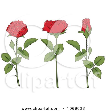 Clipart Red Roses And Stems  - Royalty Free Vector Illustration by Any Vector