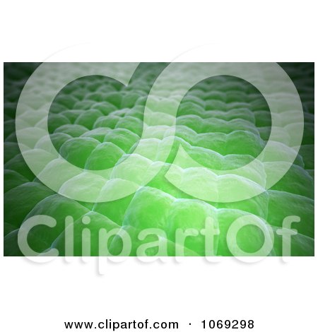 Clipart 3d Green Plant Tissue Closeup - Royalty Free CGI Illustration by Mopic