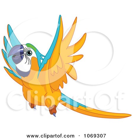 Clipart Flying Macaw Parrot - Royalty Free Vector Illustration by Pushkin