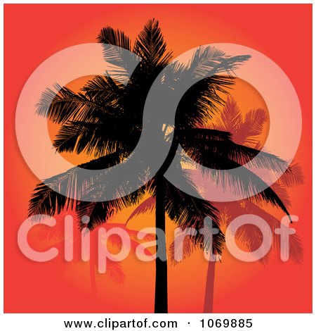 Clipart Red Sunset And Silhouetted Palm Trees - Royalty Free Vector Illustration by Arena Creative