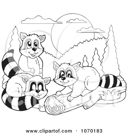 Clipart Outlined Raccoons - Royalty Free Vector Illustration by visekart