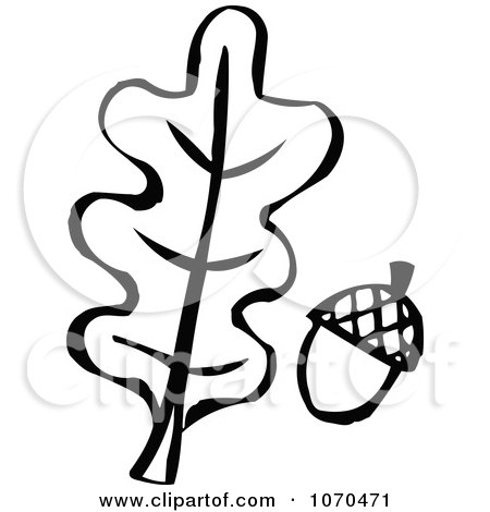 Clipart Black And White Oak Leaf And Acorn - Royalty Free Vector Illustration by NL shop