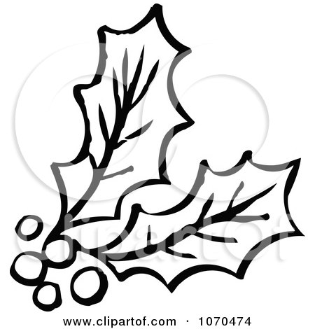 Clipart Black And White Holly - Royalty Free Vector Illustration by NL shop