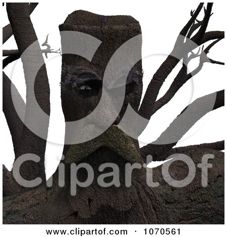 Clipart 3d Ent Tree Face 2 - Royalty Free CGI Illustration by Ralf61