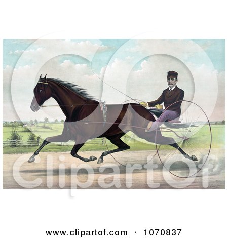 Illustration of a Horse, Champion Pacer Johnston, By Bashaw Golddust, Raced By Peter V. Johnston - Royalty Free Historical Clip Art by JVPD