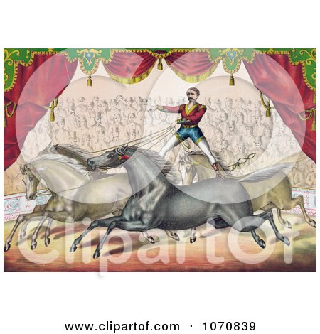 Illustration of an Audience Watching A Man Standing On The Back Of Two Horses, Controlling Them With The Reins - Royalty Free Historical Clip Art by JVPD