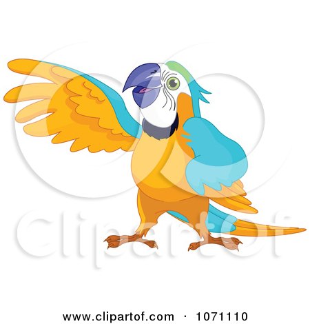 Clipart Presenting Macaw Parrot Holding Up His Wing - Royalty Free Vector Illustration by Pushkin
