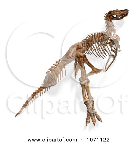 T Rex Skeleton Stock Clipart, Royalty-Free