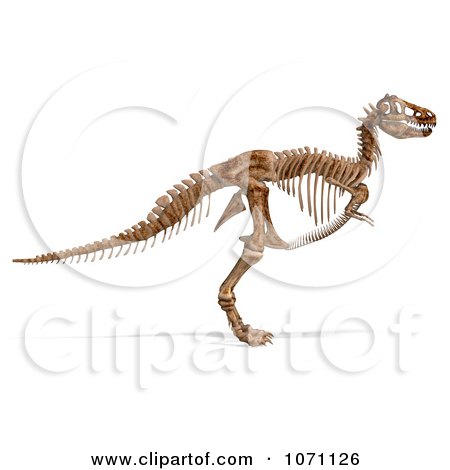 3d Tyrannosaurus Rex T-Rex Dinosaur Bones Skeleton 2 Posters, Art Prints