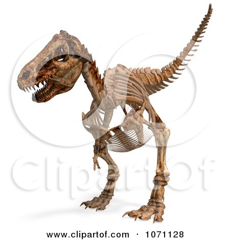 dinosaur bones t rex