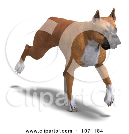 Clipart 3d Fawn And White Boxer Dog Trotting - Royalty Free CGI Illustration by Ralf61