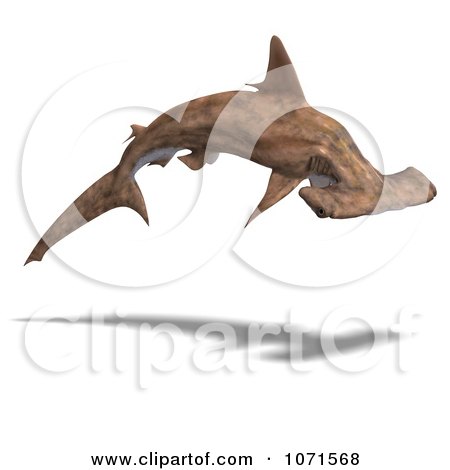 Clipart 3d Brown Hammerhead Shark 5 - Royalty Free CGI Illustration by Ralf61
