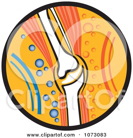 Clipart Knee Joint With Muscle Tissue In An Orange Circle - Royalty Free Vector Illustration by dero