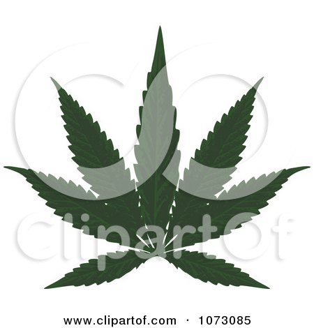 Clipart Medical Marijuana Cannabis Leaf - Royalty Free Vector Illustration by dero