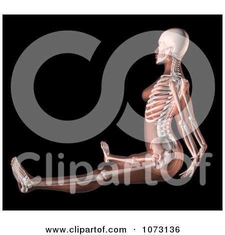 Clipart 3d Female Skeleton In A Seated Yoga Position - Royalty Free CGI Illustration by KJ Pargeter