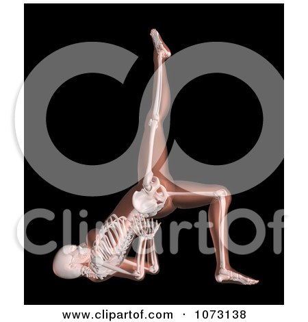 Clipart 3d Female Skeleton In A Leg Lift Yoga Position - Royalty Free CGI Illustration by KJ Pargeter