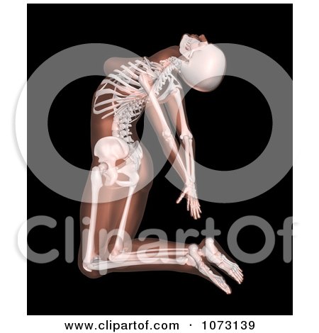 Clipart 3d Female Skeleton Leaning Back In A Yoga Pose - Royalty Free CGI Illustration by KJ Pargeter