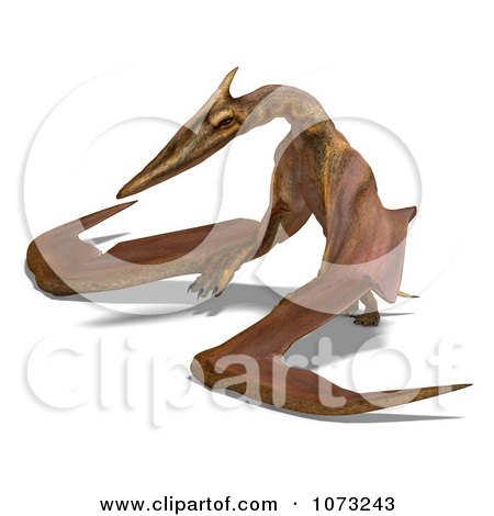 Free: Pterosaurs PNG File Download Free 