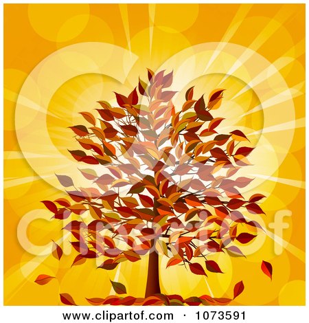 Clipart Fall Tree With Autumn Foliage Against Orange Flares - Royalty Free Vector Illustration by elaineitalia