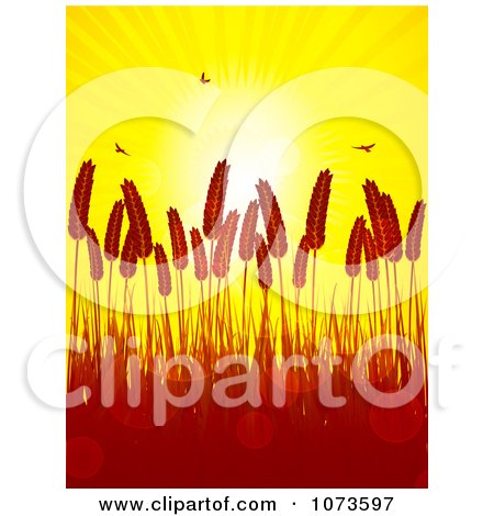 Clipart Silhouetted Wheat And Birds With Flares Against A Sunset - Royalty Free Vector Illustration by elaineitalia