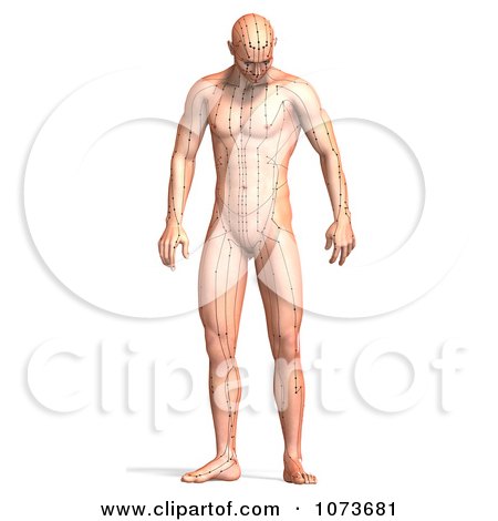 Clipart 3d Male Acupressure Acupuncture Chart Body 4 - Royalty Free CGI Illustration by Ralf61
