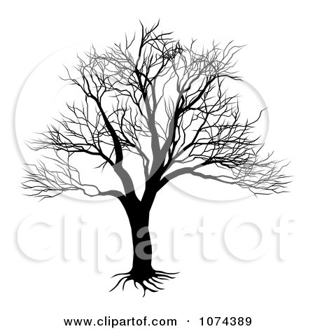 Clipart Silhouetted Black And White Bare Tree - Royalty Free Vector Illustration by AtStockIllustration
