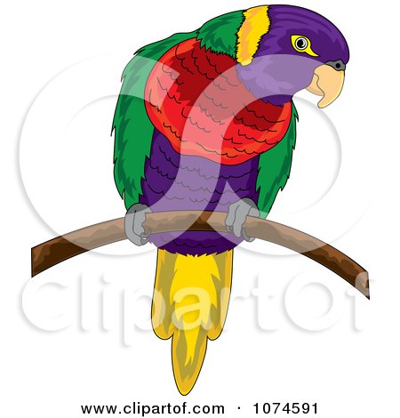 Clipart Colorful Parrot On A Branch 1 - Royalty Free Vector Illustration by Pams Clipart