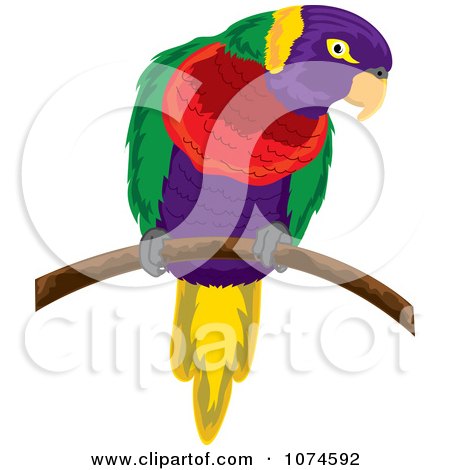Clipart Colorful Parrot On A Branch 2 - Royalty Free Vector Illustration by Pams Clipart