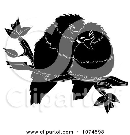 Download Clipart Two Black And White Love Birds Perched On A Branch ...