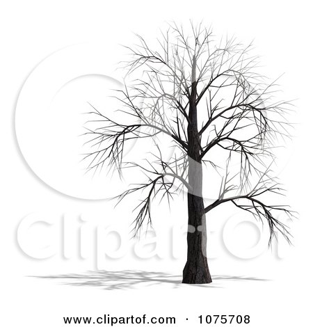Clipart 3d Creepy Bare Tree 4 - Royalty Free CGI Illustration by Ralf61