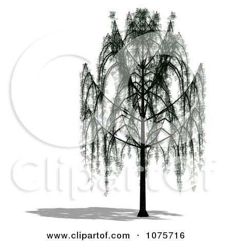 Clipart 3d Willow Tree - Royalty Free CGI Illustration by Ralf61