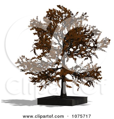 Clipart 3d Bonsai Tree In A Planter 2 - Royalty Free CGI Illustration by Ralf61