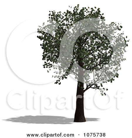 Clipart 3d Tree 3 - Royalty Free CGI Illustration by Ralf61