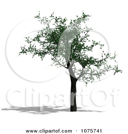 Clipart 3d Cherry Tree 1 - Royalty Free CGI Illustration by Ralf61