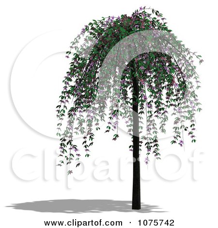 Clipart 3d Cherry Tree 2 - Royalty Free CGI Illustration by Ralf61