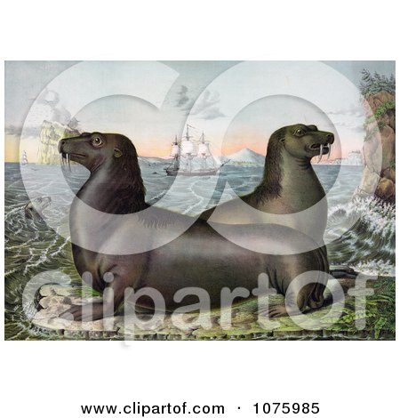 Two Sea Lions With Ships In The Distance - Royalty Free Historical Clip Art by JVPD