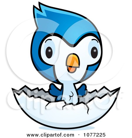 Clipart Cute Baby Bluejay Chick Hatching - Royalty Free Vector Illustration by Cory Thoman