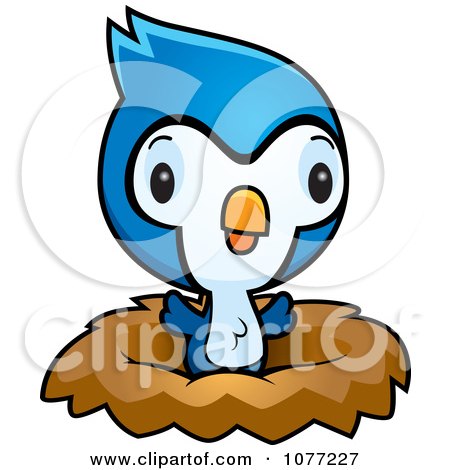 Clipart Cute Baby Bluejay Chick In A Nest - Royalty Free Vector Illustration by Cory Thoman