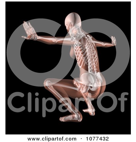 Clipart 3d Female Medical Skeleton Doing A Yoga Pose 2 - Royalty Free CGI Illustration by KJ Pargeter