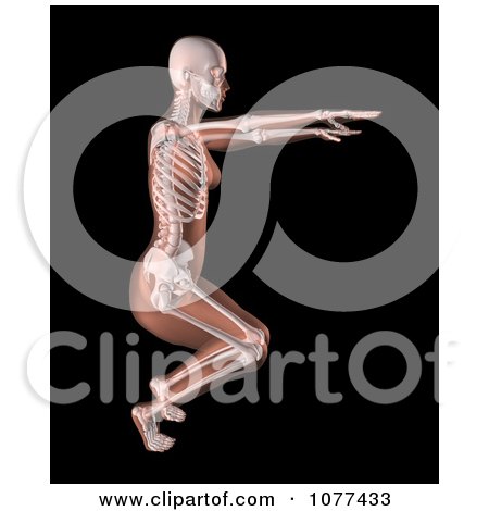 Clipart 3d Female Medical Skeleton Doing A Yoga Pose 1 - Royalty Free CGI Illustration by KJ Pargeter