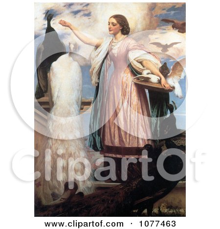 Painting of a Girl in a Pink Dress Feeding Peacocks by Frederic Lord Leighton - Royalty Free Historical Clip Art by JVPD